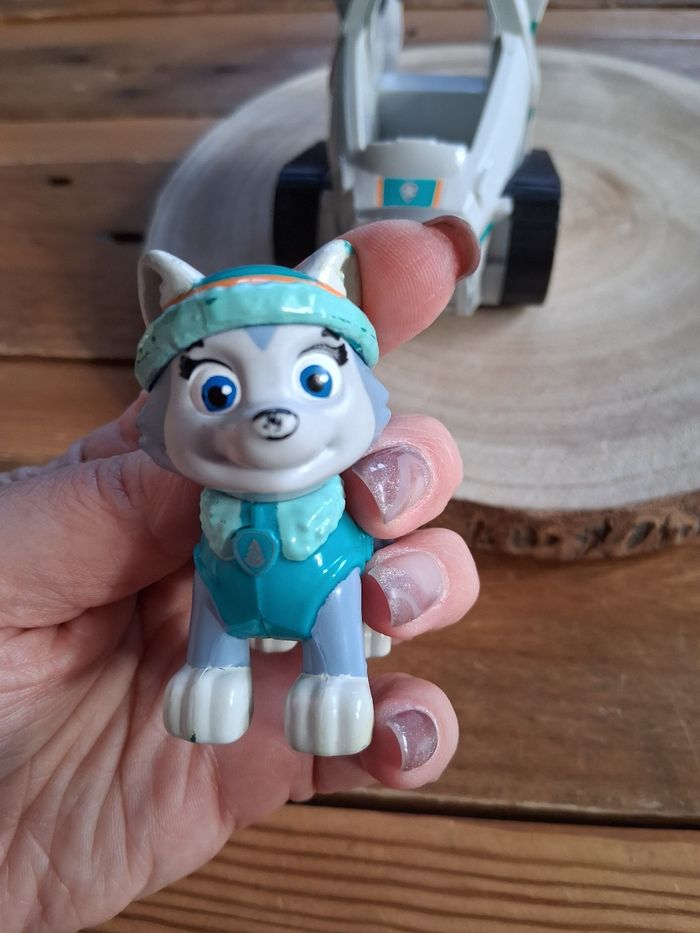 Paw Patrol - photo numéro 10