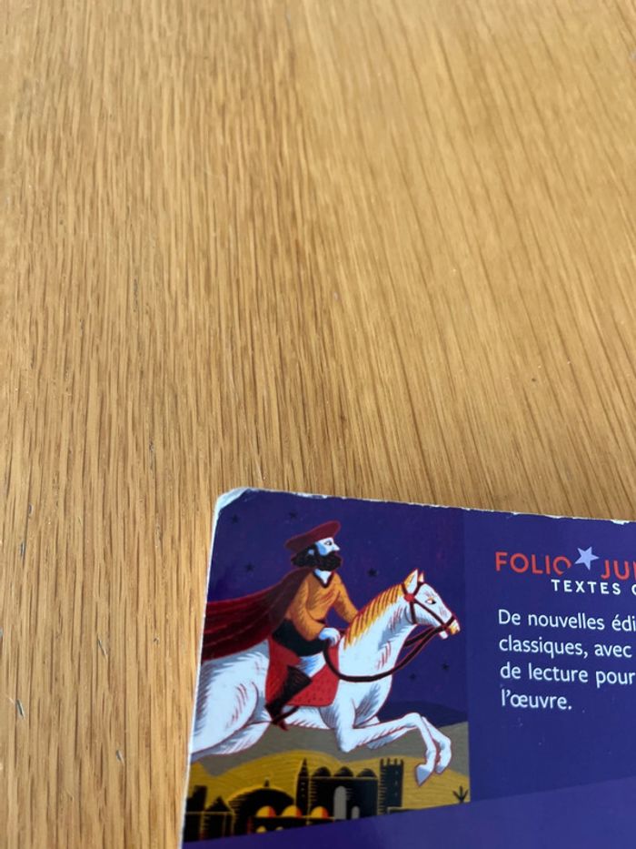 Le livre des merveilles de Marco Polo - photo numéro 6