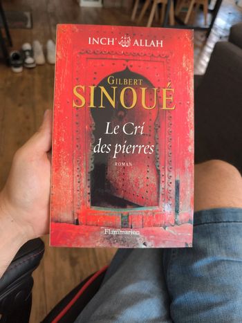 Le cri des pierres - Gilbert Sinoué