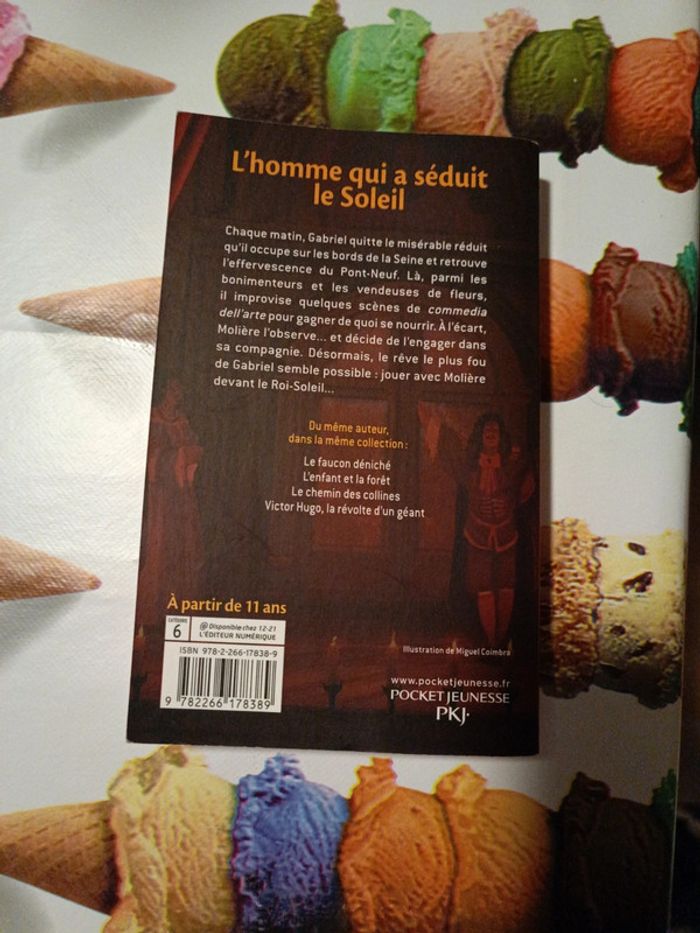 Livre l'homme qui a séduit le soleil - photo numéro 2