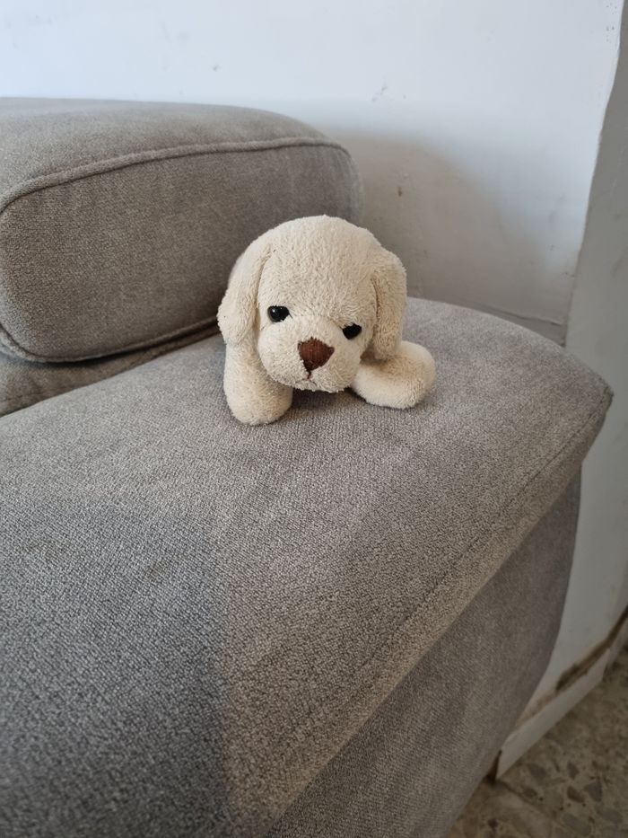Peluche chien - photo numéro 2