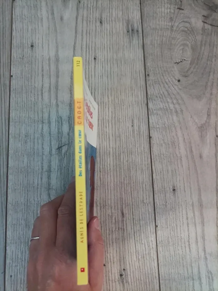 Livre "des étoiles dans le cœur" neuf - photo numéro 2