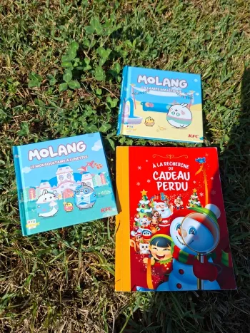 Lot livres enfants