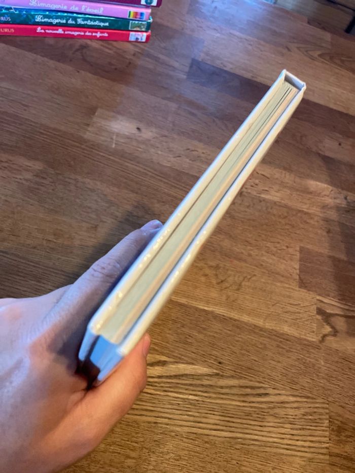 Livre L’imagerie de la Bible - photo numéro 5