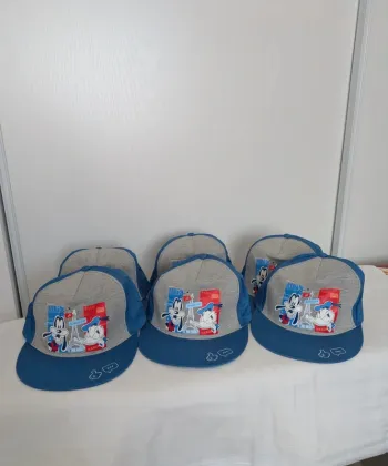 Lot 6 casquettes adulte neuves - Disneyland Paris