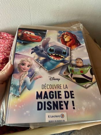 Livre Disney 2025