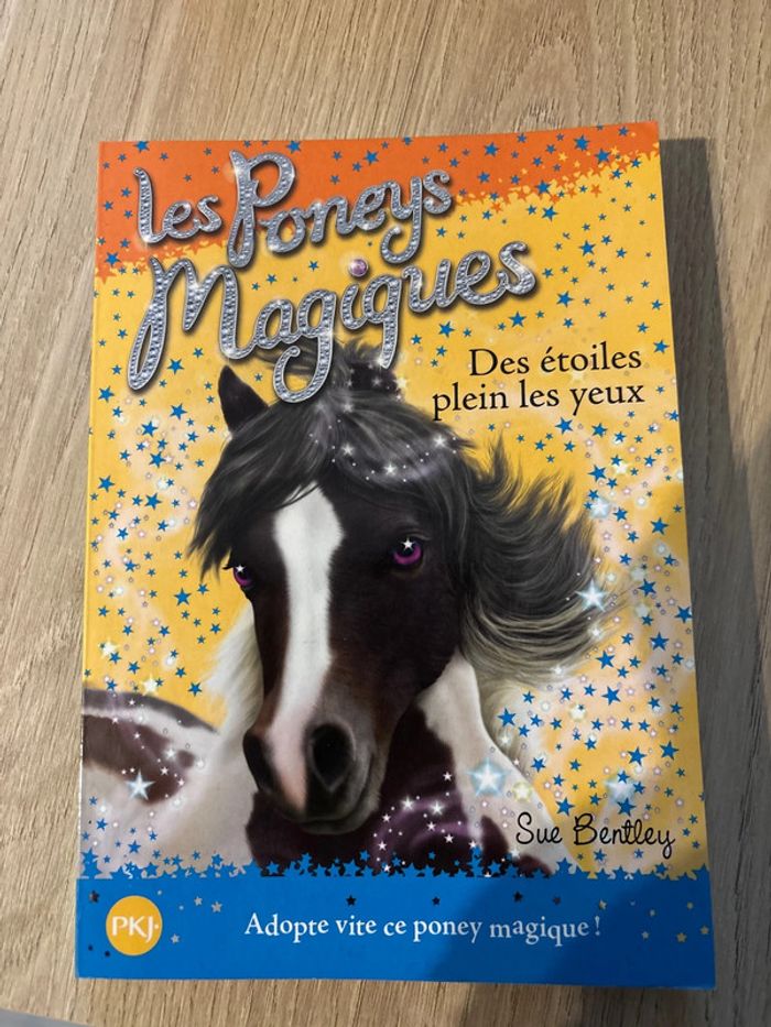 Les Poneys magiques