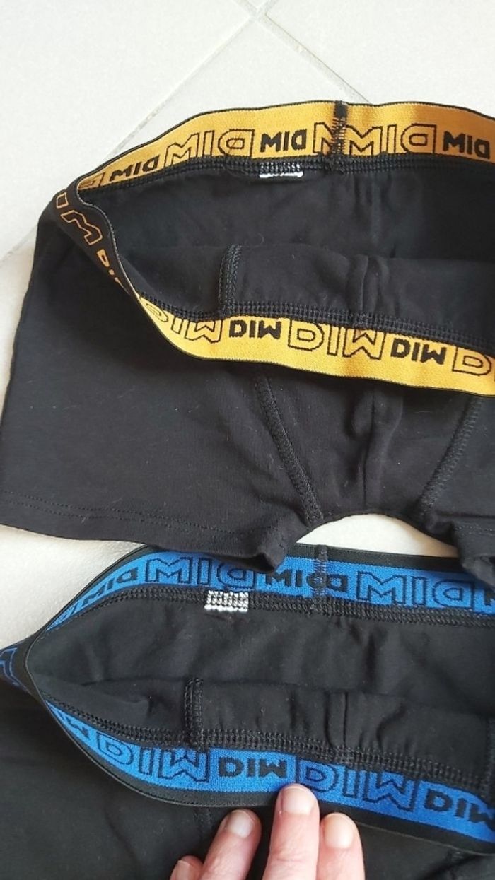 Boxer Dim 8 ans - photo numéro 3