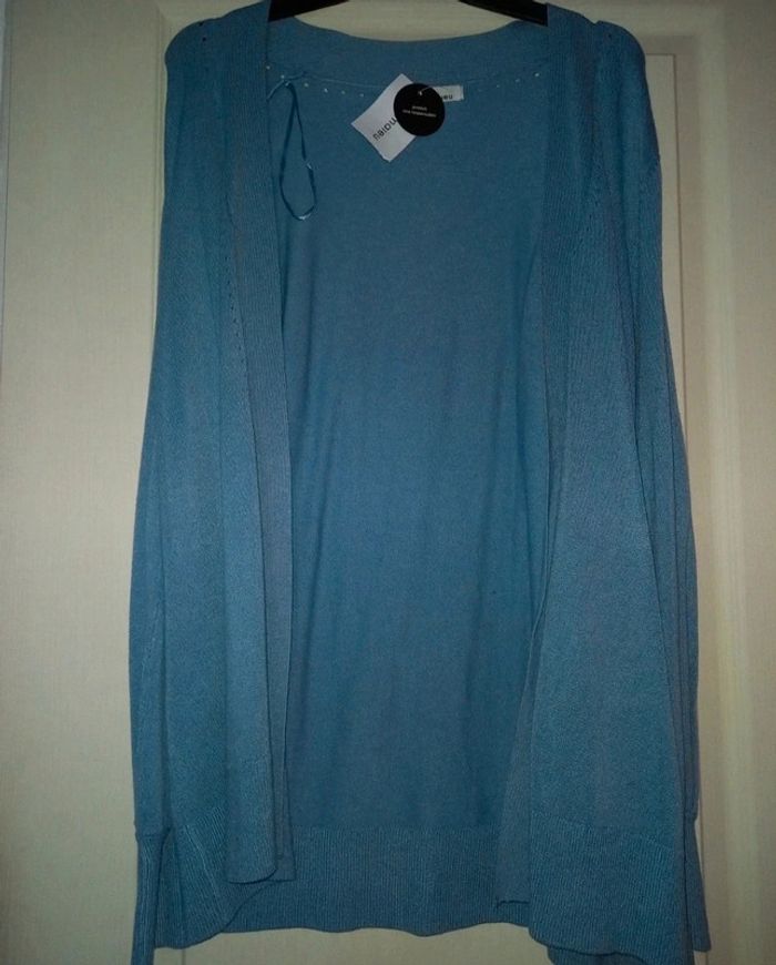 gilet bleu