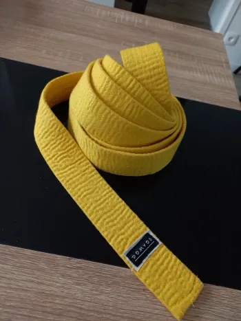 Ceinture jaune arts martiaux 280