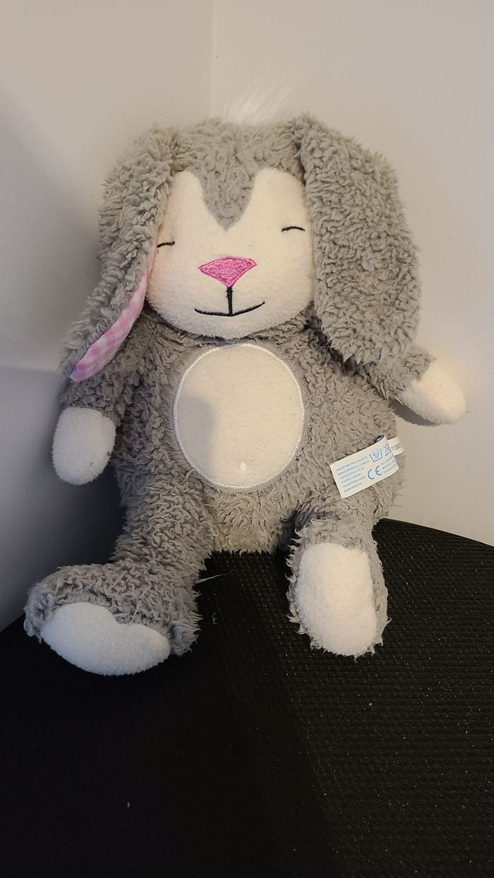 doudou lapin - photo numéro 3