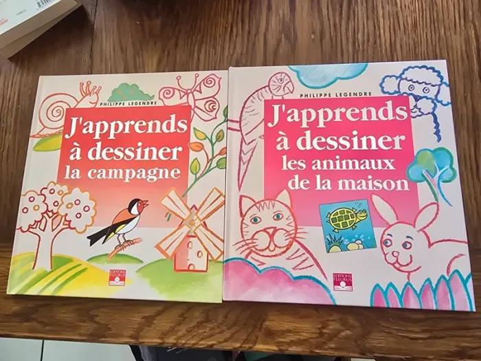 Lot de 2 livres j'apprends à dessiner