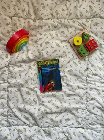 livre la cabane magique les mystères du château hantés tome 25