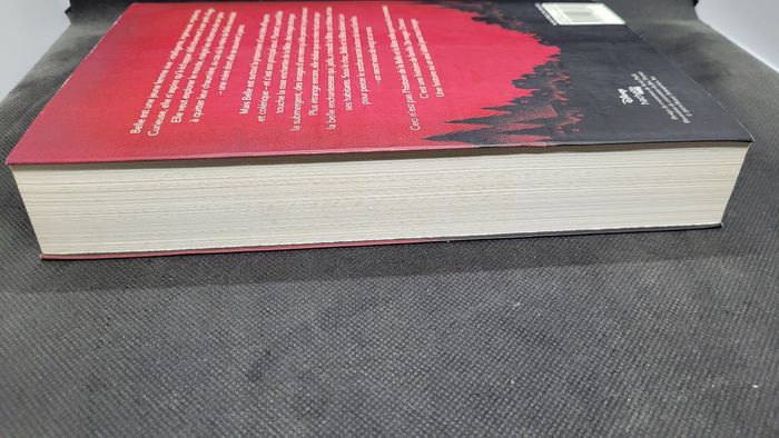 Livre grand format Twisted Tale "Histoire éternelle" - photo numéro 5