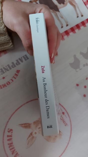 Livre Au bonheur des Dames