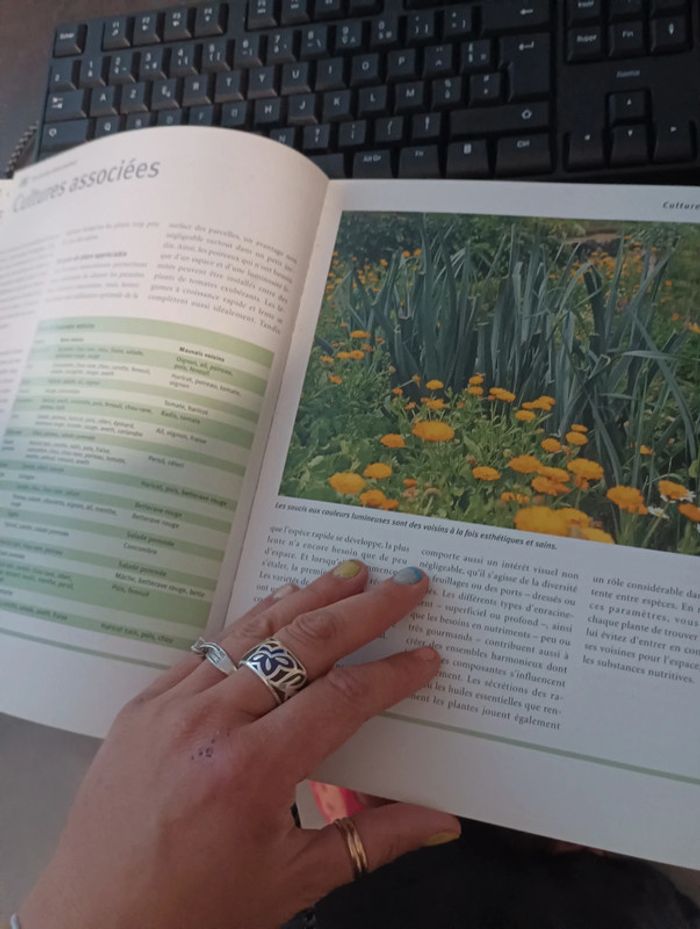 Livre saveurs du jardin Legumes fruits et aromates - photo numéro 2