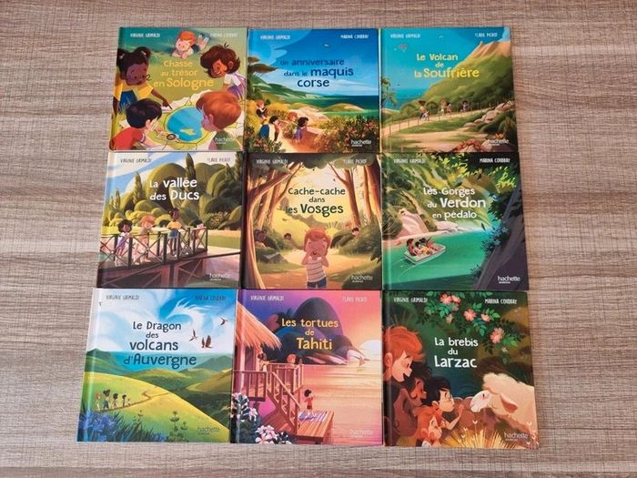 Lot de livres collection "Merveilles de France"