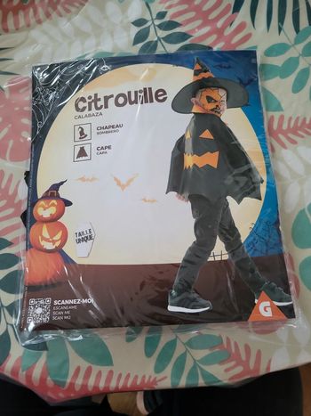 Cape de citrouille avec chapeau