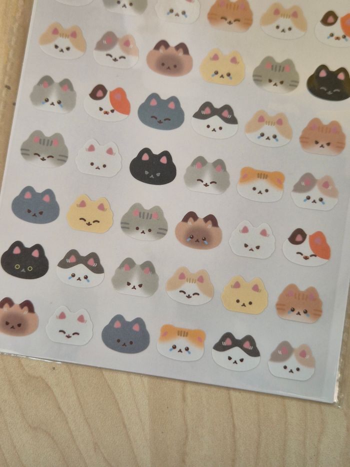 Stickers chatons - photo numéro 4