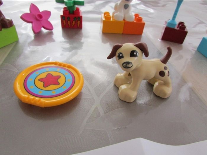 Lego Duplo Les Animaux de compagnie 10838 - photo numéro 3