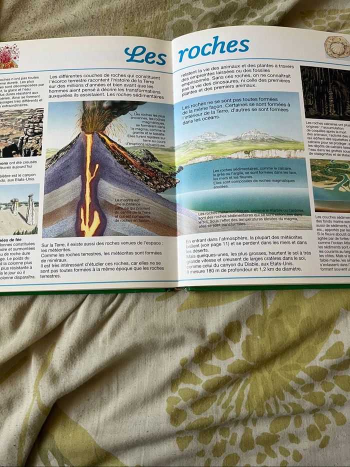 Livre. Dictio nature et jeux - photo numéro 3