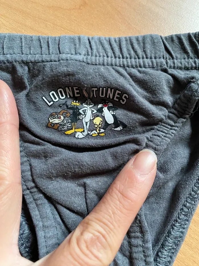 Lot de 5 slips Looney Tunes Taille 2/3 ans - photo numéro 5