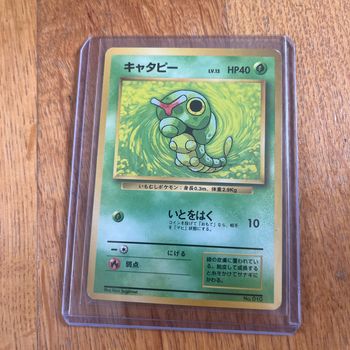 Chenipan no rarity