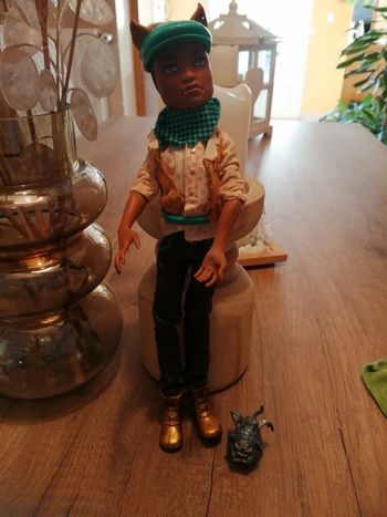 Poupée monster high