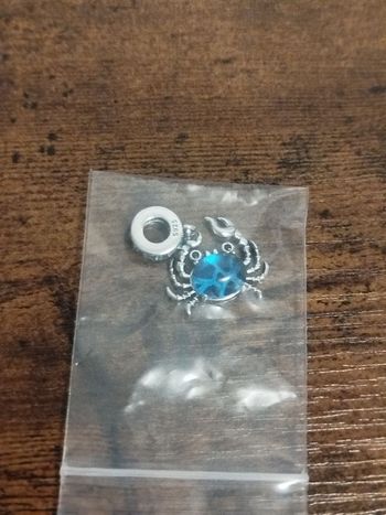 vend un charm de pandora crape