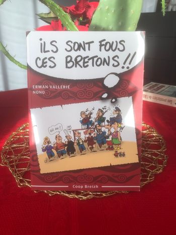 Ils sont fous ces bretons !! Erwan Vallerie