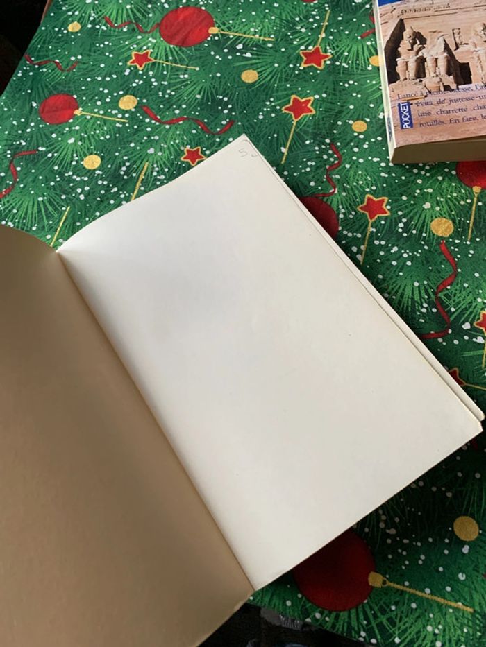 Rani roman - photo numéro 5