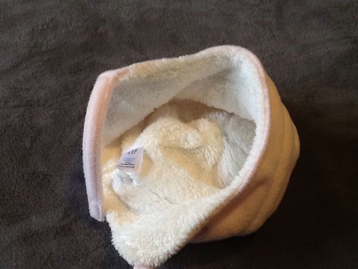 Bonnet gap - photo numéro 2