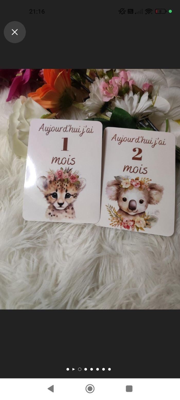 Carte étape bébé - photo numéro 2