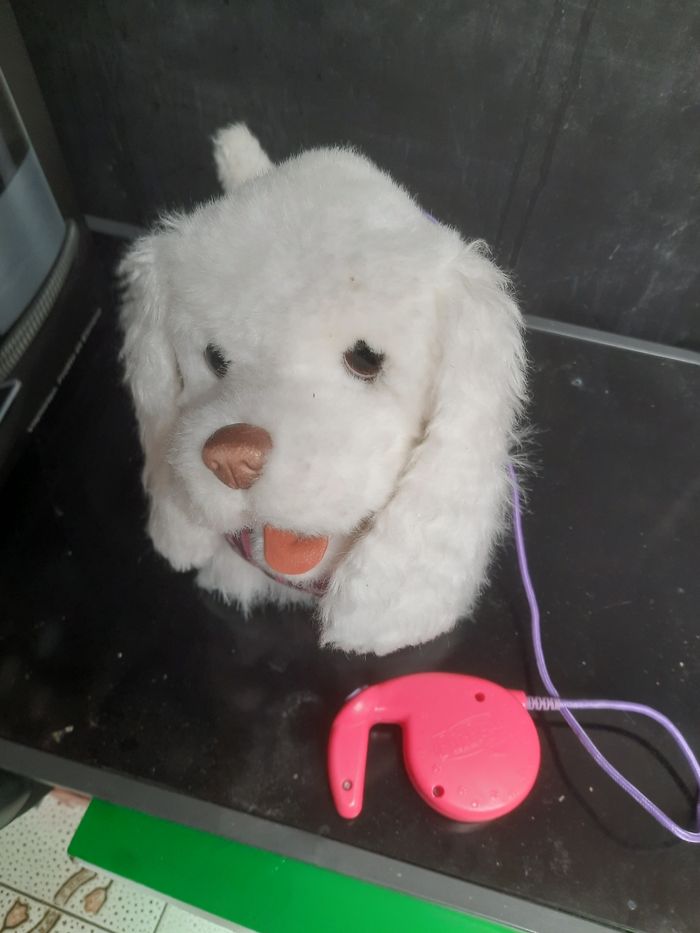 Bonjour je vends un lot de jouets pour petite fille - photo numéro 3