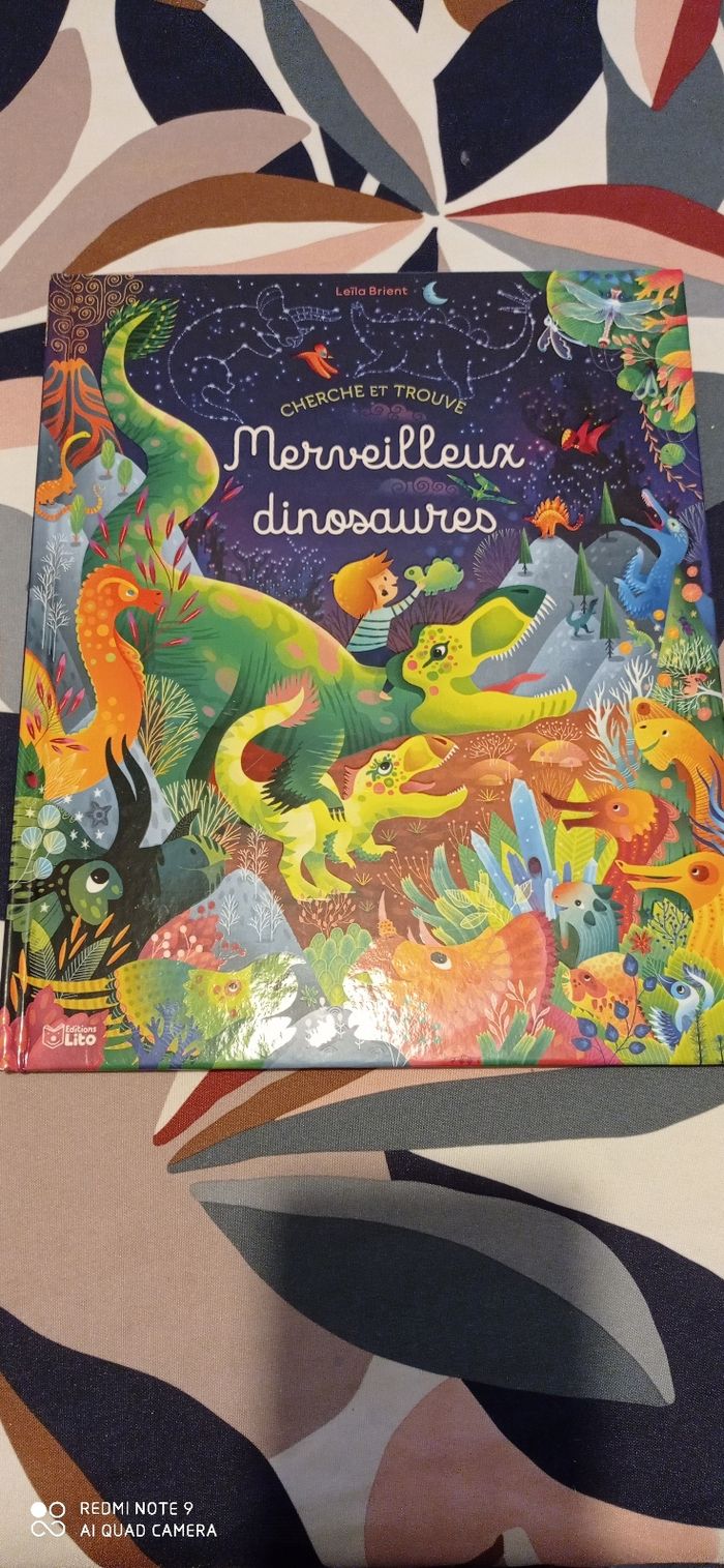 Livre cherche et trouve " merveilleux dinosaures"