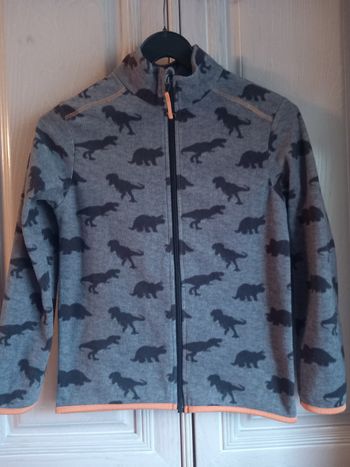 Veste polaire avec dinosaures 12 ans