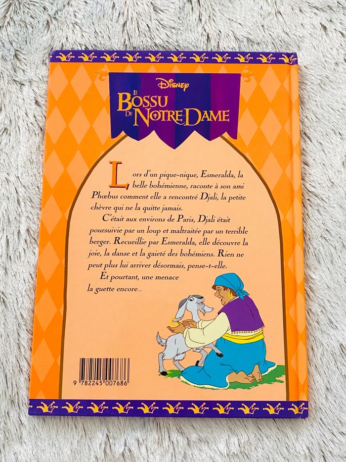 Coffret 6 livres Le Bossu de Notre Dame Disney - photo numéro 7