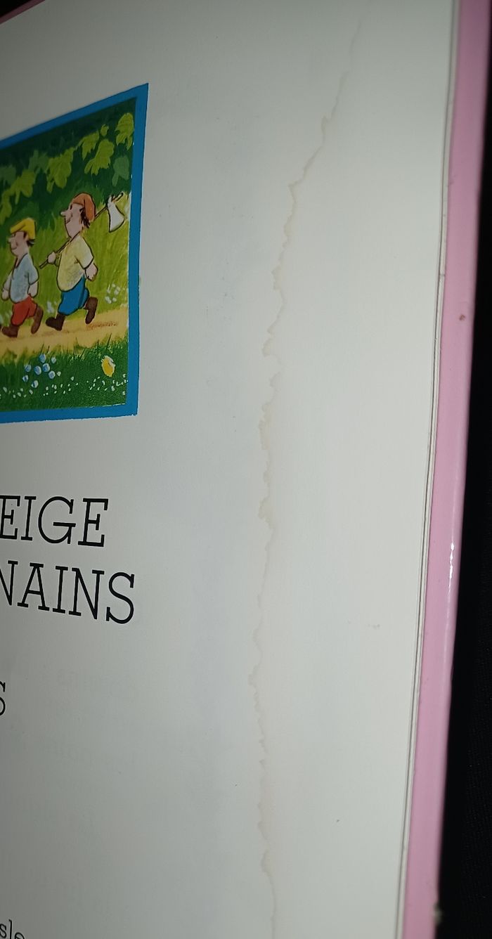 Livre rébus : Blanche neige et les 7 nains - photo numéro 5