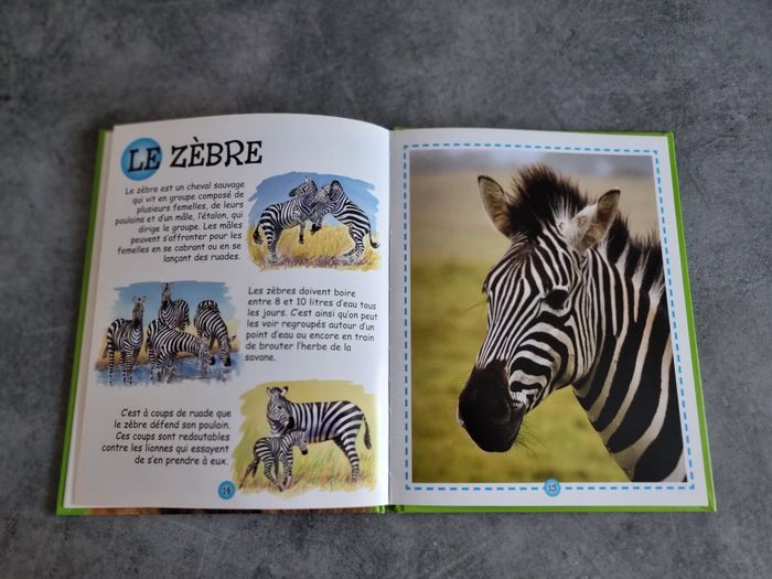Les animaux de la savane - photo numéro 3