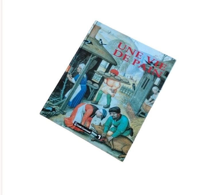 📚 Livre Une vie de pain #emyfleury_livres - photo numéro 2