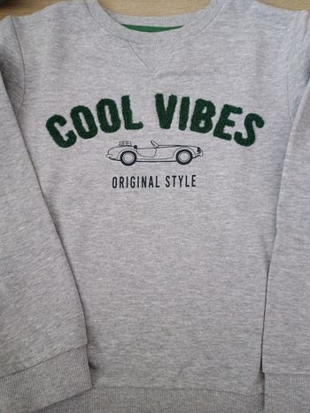 Lot de 3 sweats garçon 8 ans TBE