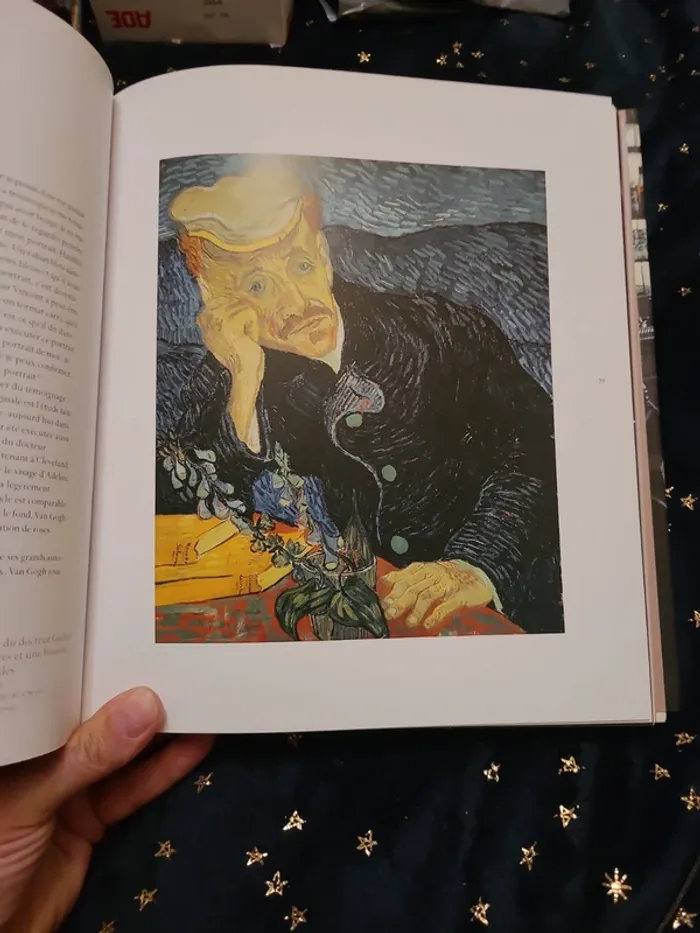 Livre Van Gogh à l'Auberge Ravoux - photo numéro 7