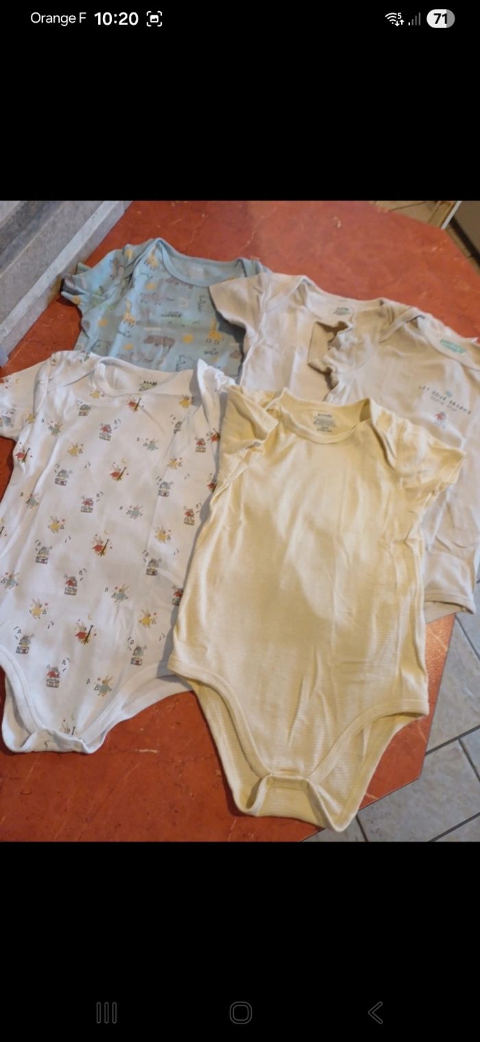 Lot de 5 bodies taille 36 mois