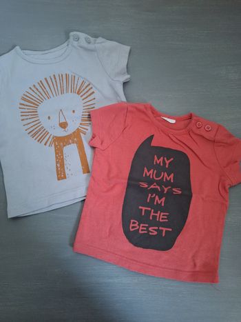 2 tee shirts
