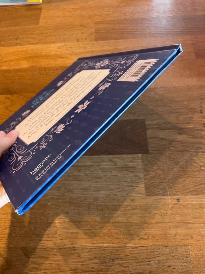 Livre La reine des neiges Magie des aurores boréales Un brave petit troll - photo numéro 6