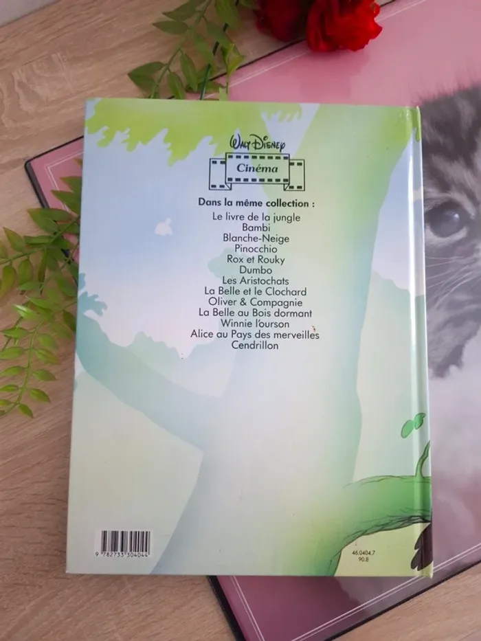 Livre Disney / Rox et Rouky - photo numéro 2