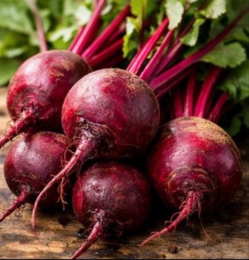 Betteraves rouge 30 graines 