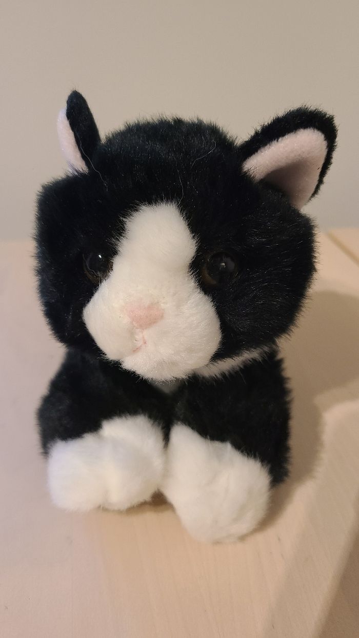 Doudou chat - photo numéro 7