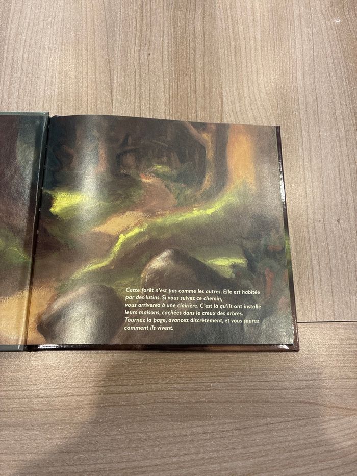 Livre - photo numéro 3
