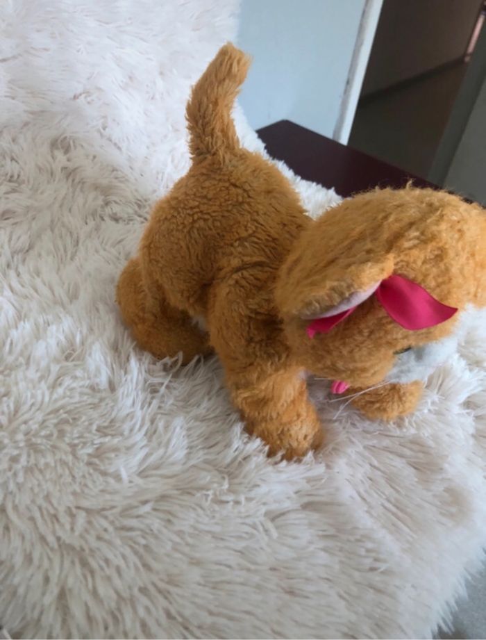 Chat interactif - photo numéro 2